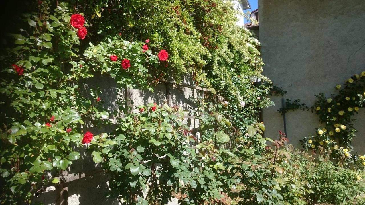 B&B Barbaia Levice エクステリア 写真